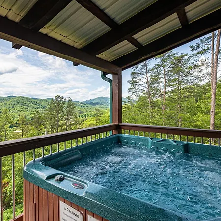 Bear Mountain View Cabin